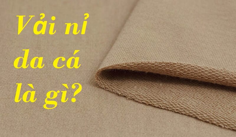 vải nỉ da cá
