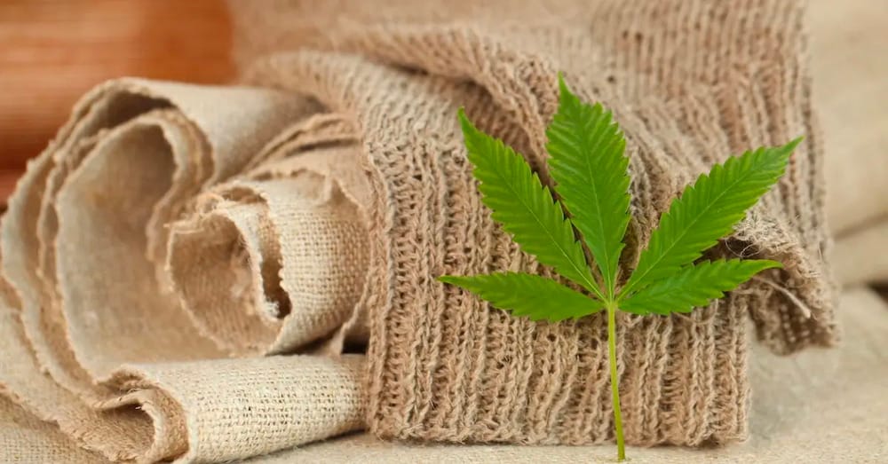 vải hemp