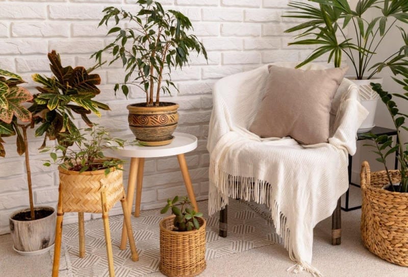 vải hemp